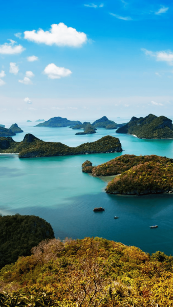 Untitled design (90)